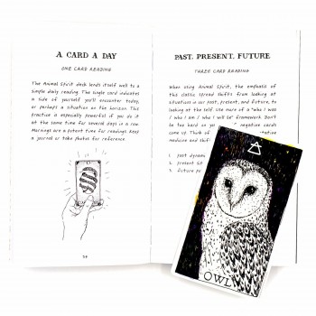 The Wild Unknown Animal Spirit Oracle kortų ir knygos rinkinys Harper One